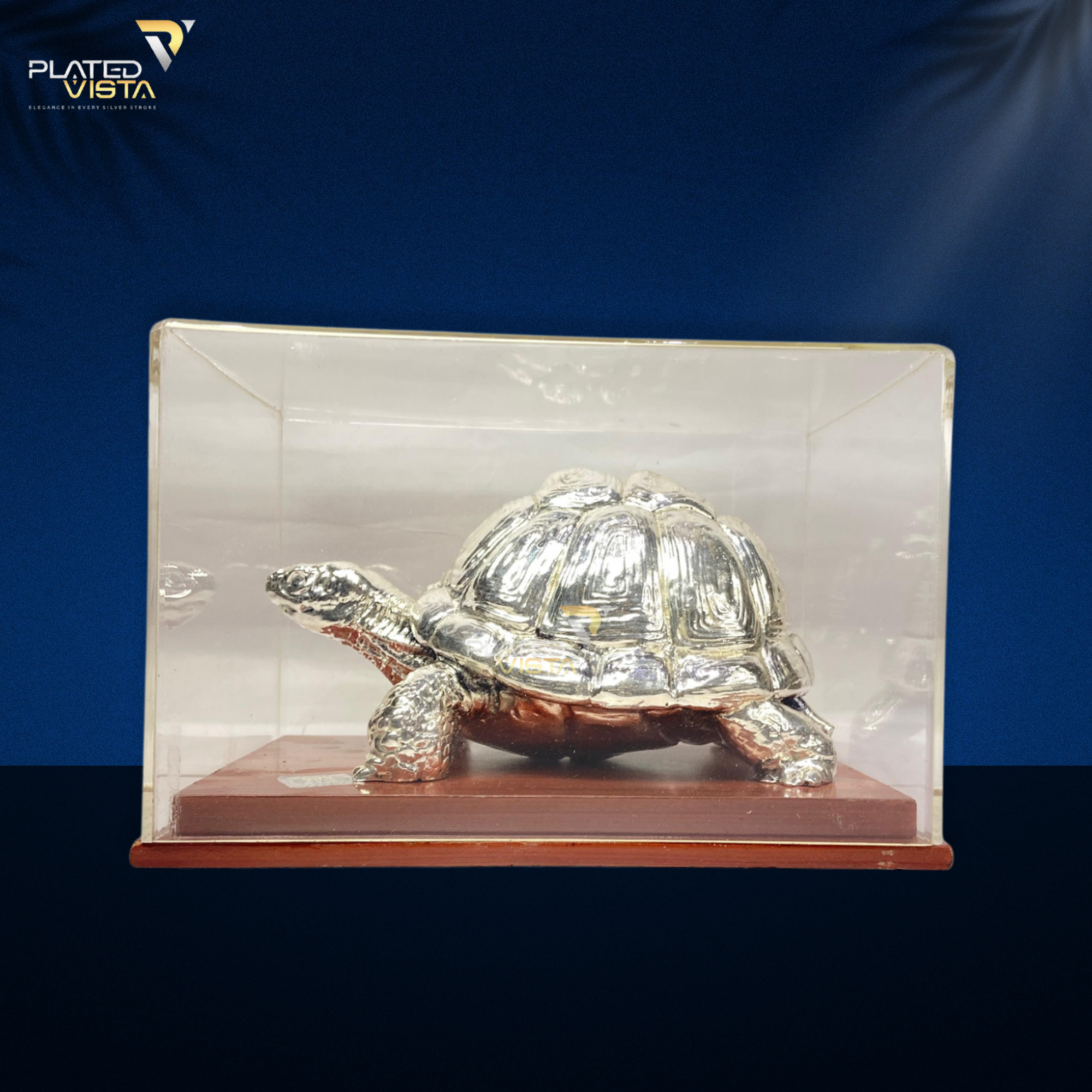 TORTOISE